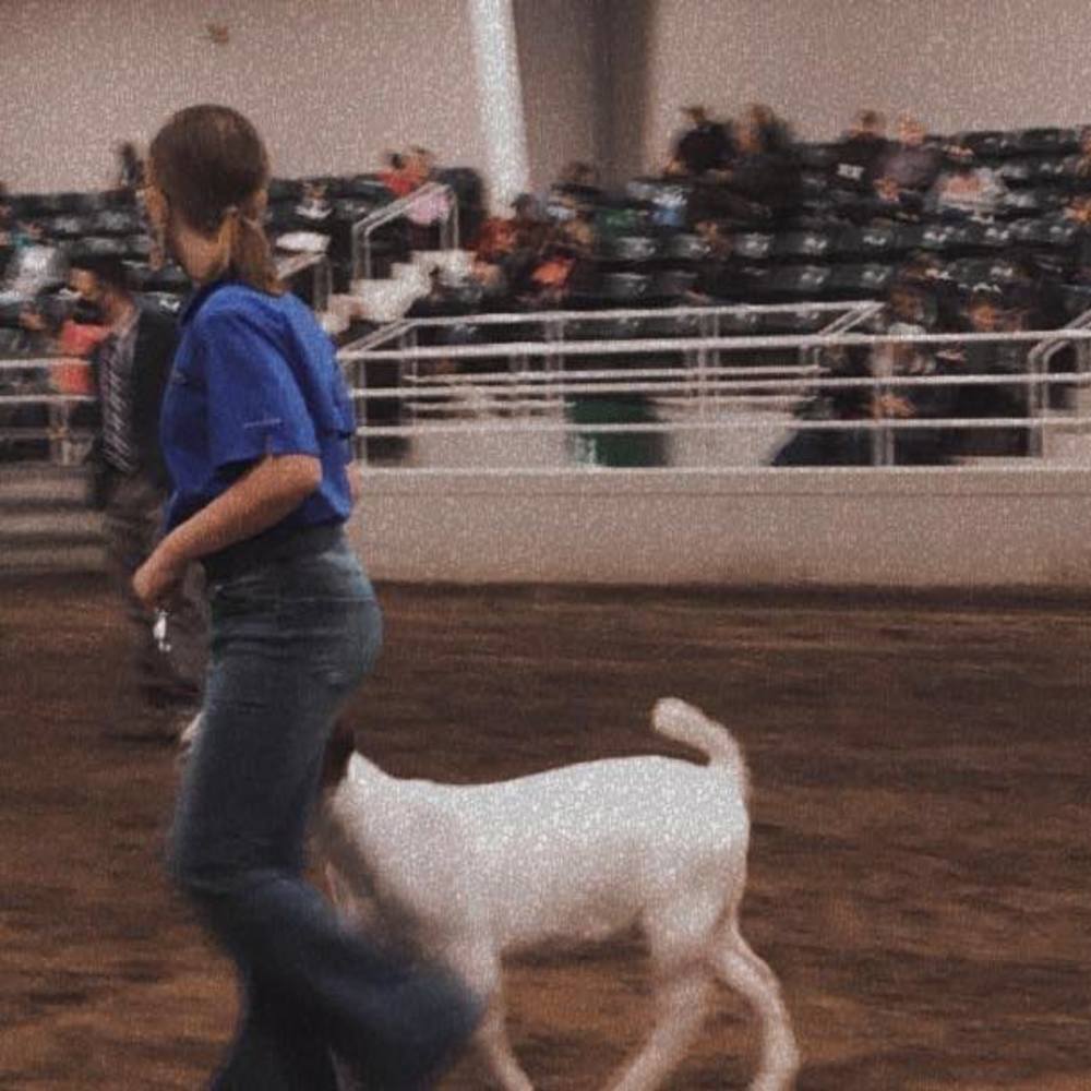 Meet your Posher, Hannah